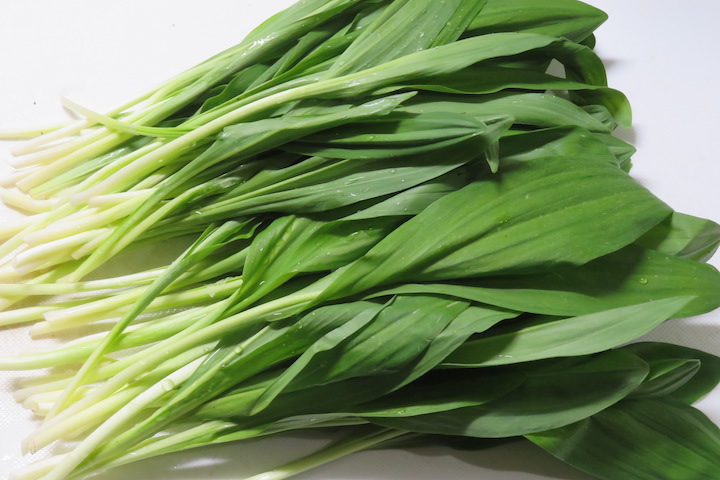 ギョウジャニンニク