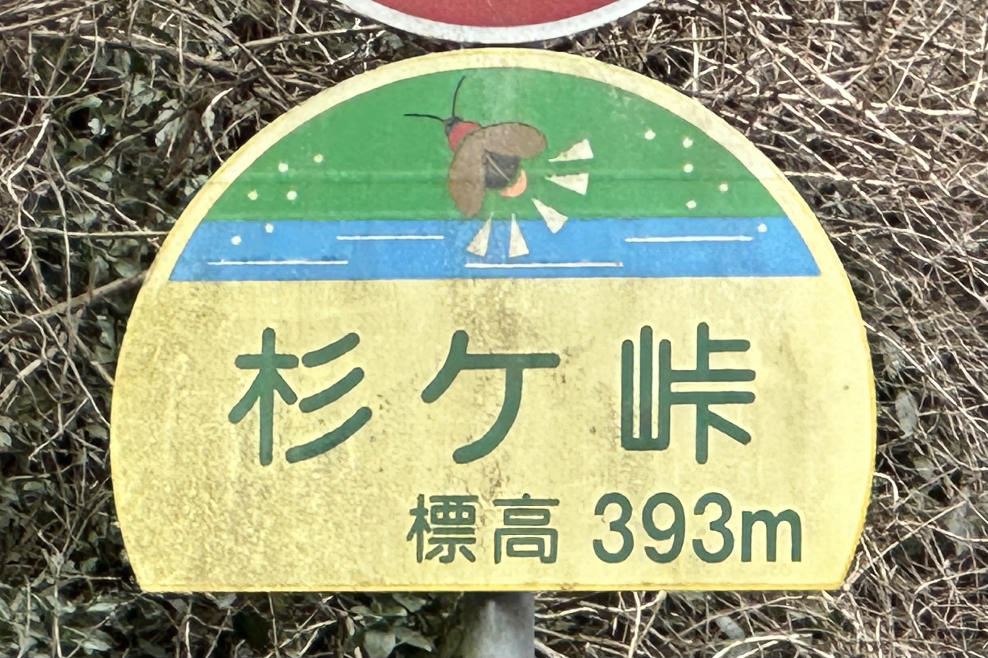 杉ヶ（すぎが）峠