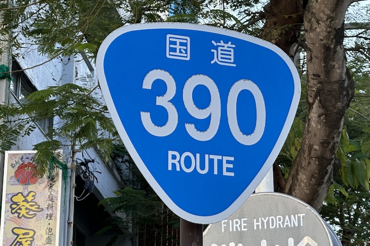 国道390号線