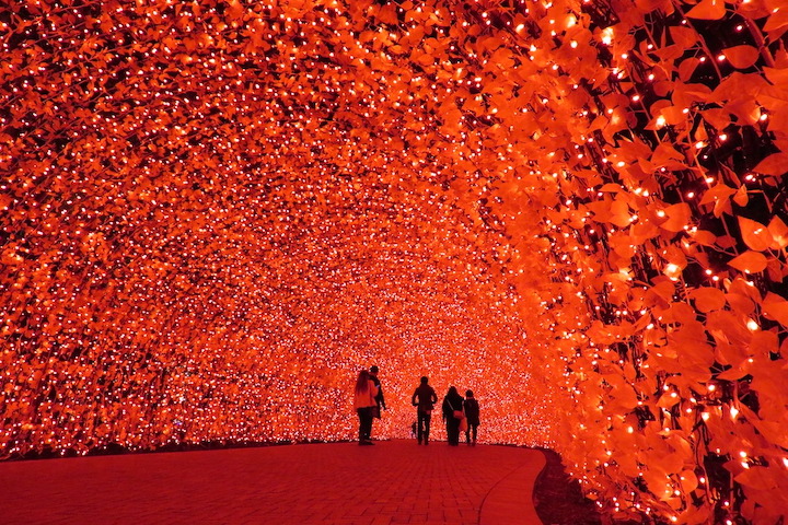 なばなの里イルミネーション