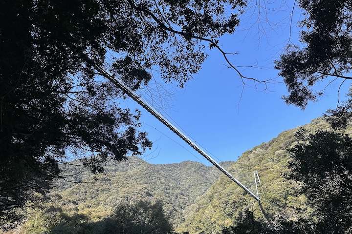 綾の照葉大吊橋