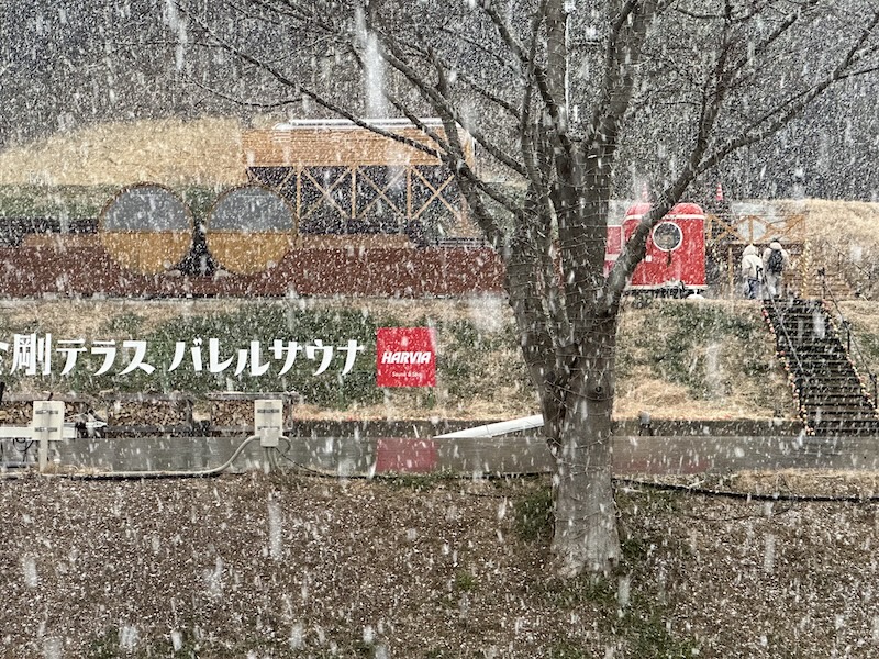 RVパーク_GLANPING金剛テラスの降雪