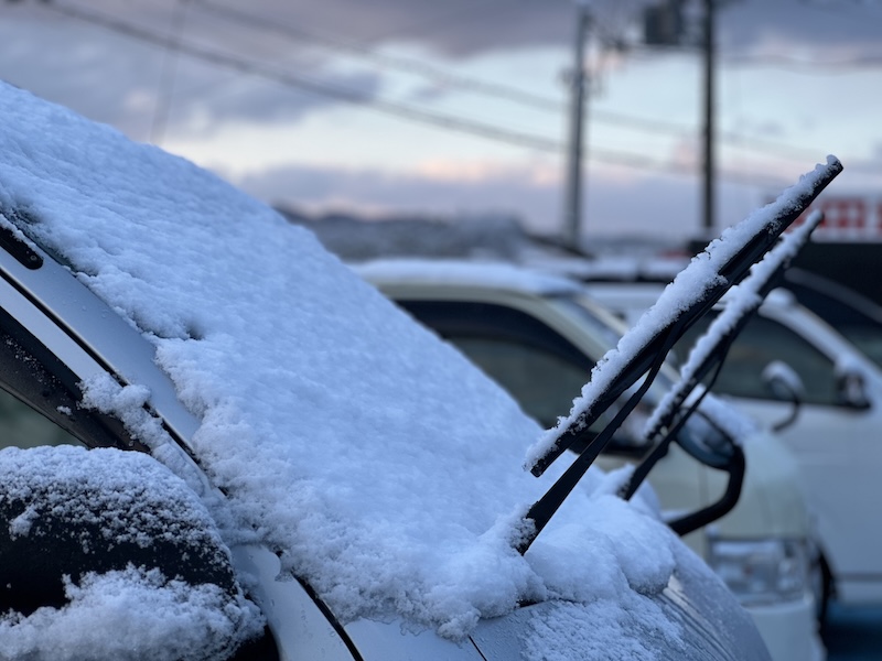 RVパーク_金剛テラスに積雪