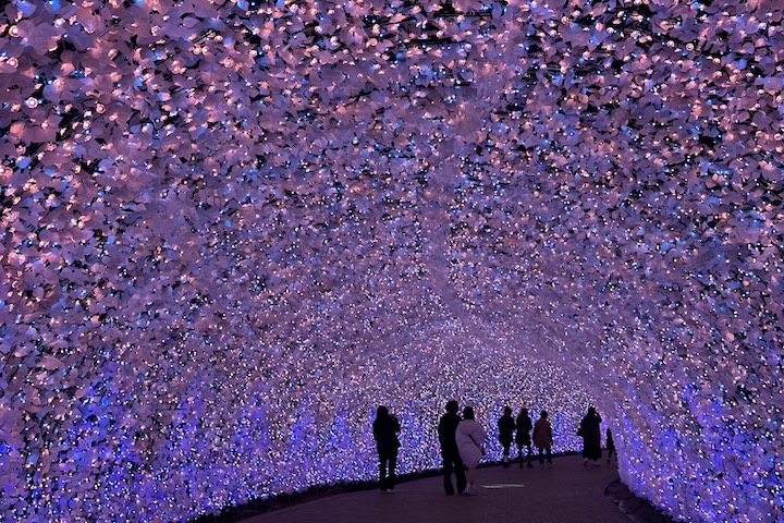 なばなの里イルミネーション