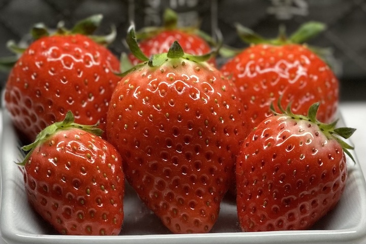 高木さん家のイチゴ