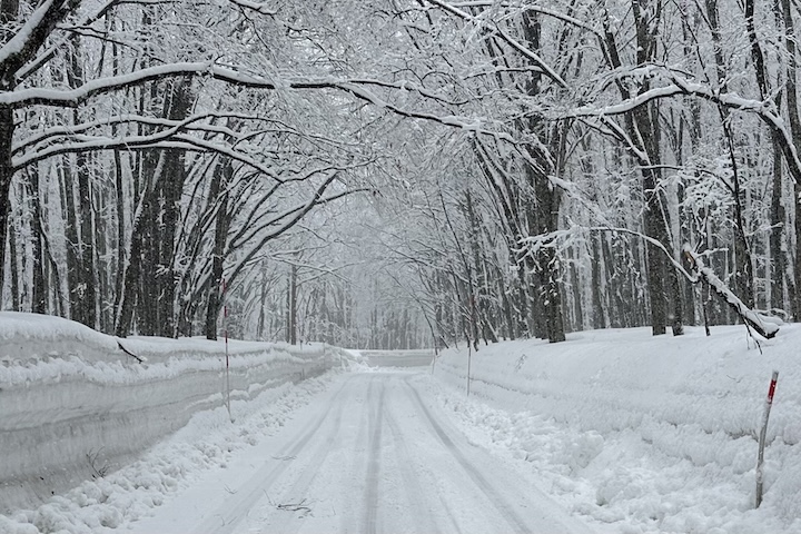 国道394号線の雪道