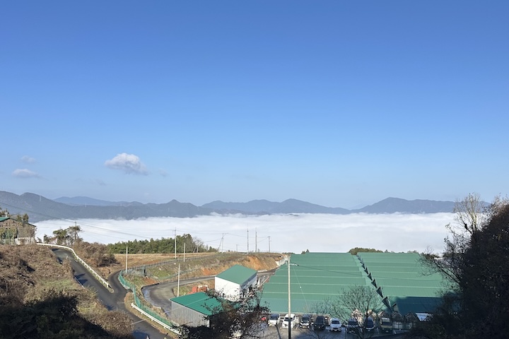国道441号の雲海